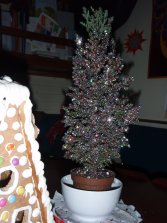 Weihnachtsbaum der Marina