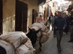 Talaa kbira - die "Hauptstrasse" der Medina in Fes