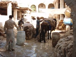 Vorbereitung der Felle im Woll-Souk
