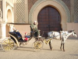 Mohammed mit seiner eigenen Kutsche vor dem Tor am Hauptplatz