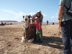 Kamelreiten am Strand