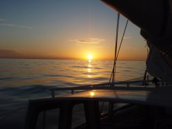 Sonnenuntergang mit Delfinbesuch