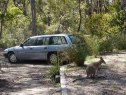 Camping im Gibraltar-Range-Nationalpark