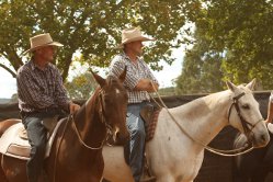 Cowboys