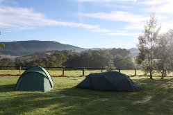 Zelten in Dorrigo