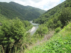 Bullertal