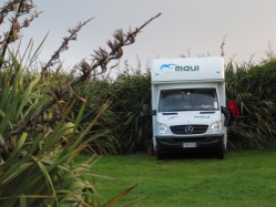 Camping zwischen Flachsstauden