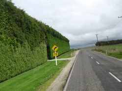 Heckenmauer