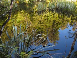 spiegelnder See
