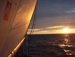 Goldene Morgensonne
