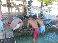 Ausnehmen der Fische
